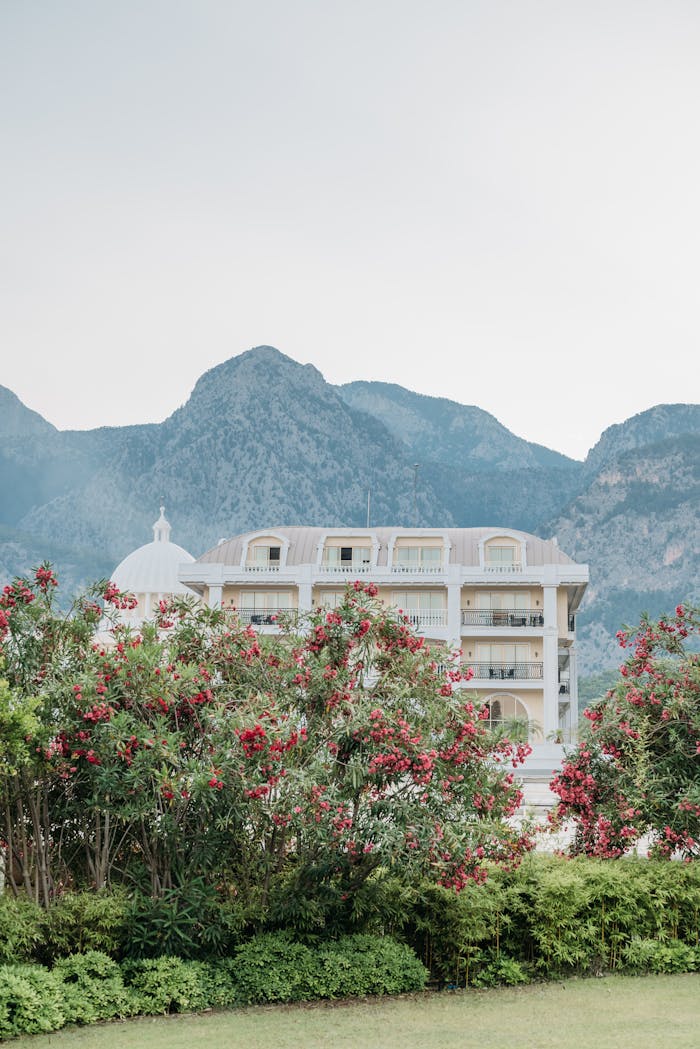 services-02 Elegant hotel surrounded by vibrant flowers and mountains, ideal for summer vacations.